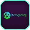 Microgaming